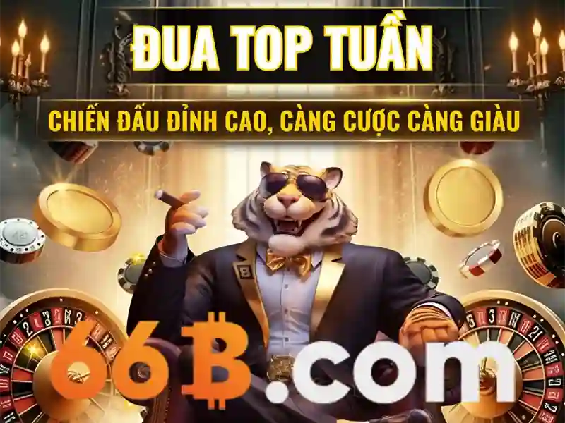 Nhập Code 66B