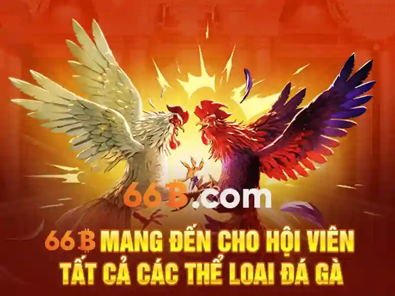 Ưu Điểm Nổi Bật Của 66B