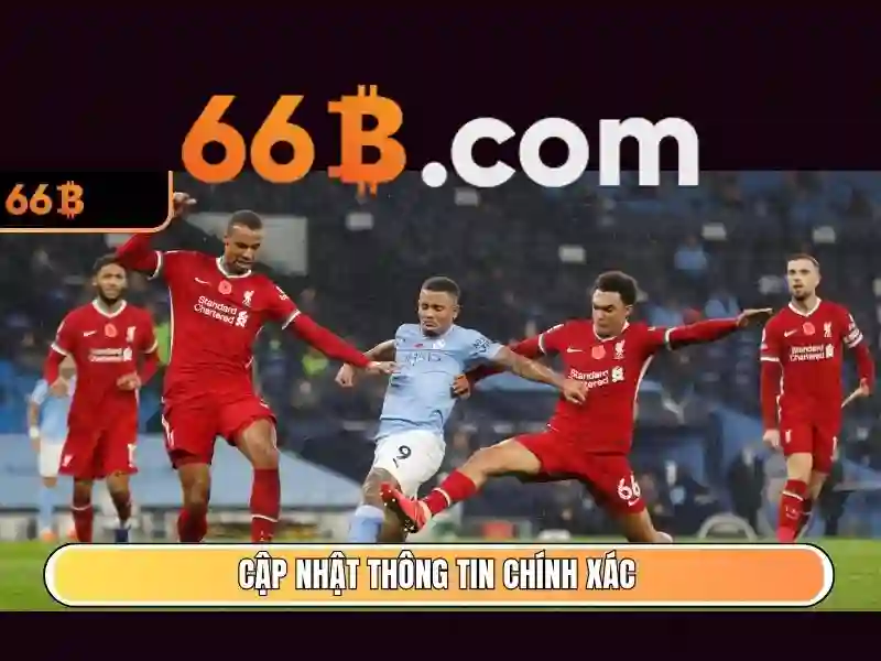 dịch vụ hỗ trợ
