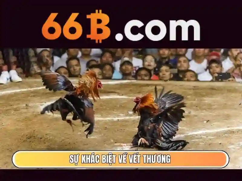 66B – Trải Nghiệm Slot Đỉnh Cao Với 66b Mới 2026