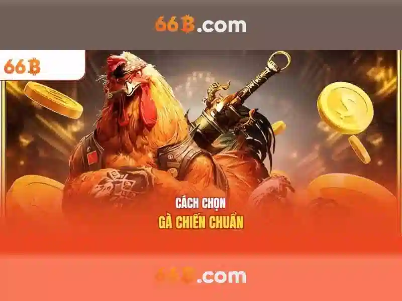 Quy Trình Rút Tiền 66B