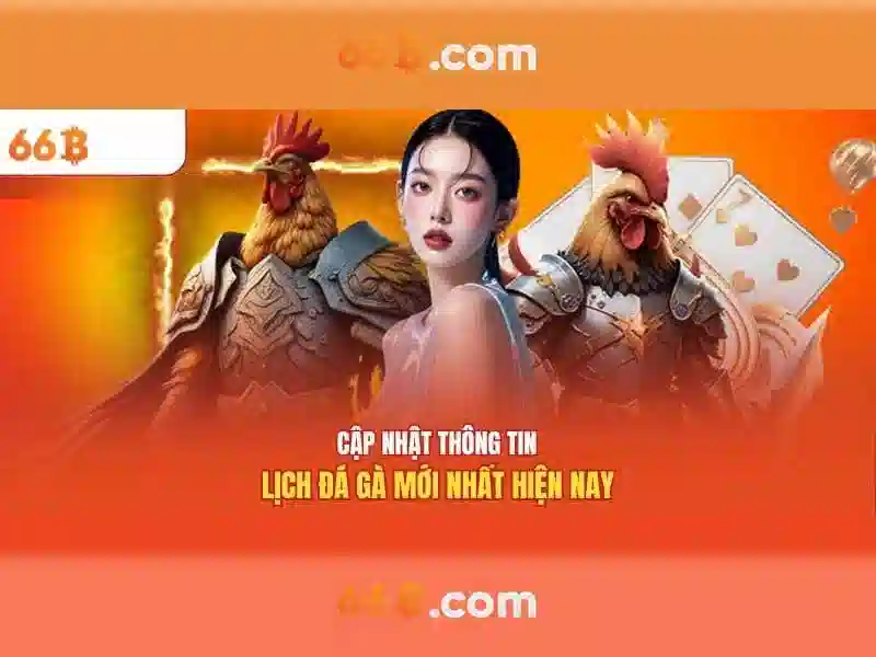 66B uy tín không
