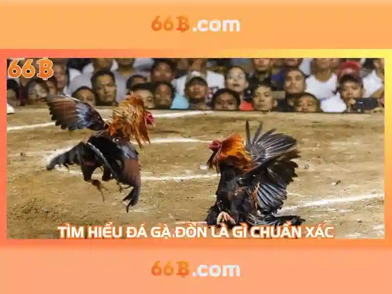Tải App 66B