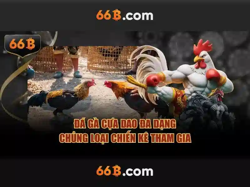 Ưu Điểm Của 66B Triều Khúc