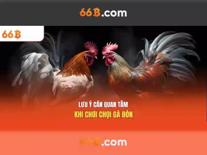 66b uy tín không – Giao Diện Thân Thiện