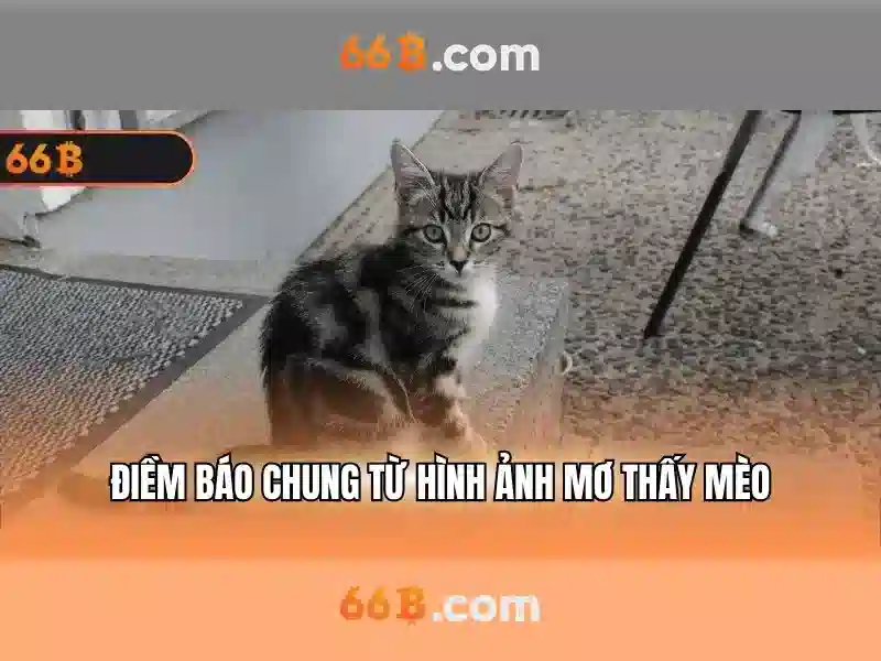 Tiến Lên 66B – Trải Nghiệm Slot Đỉnh Cao Không Giới Hạn