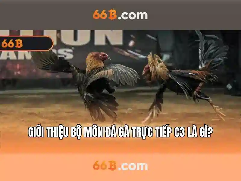 Trải Nghiệm Game Bài 66B