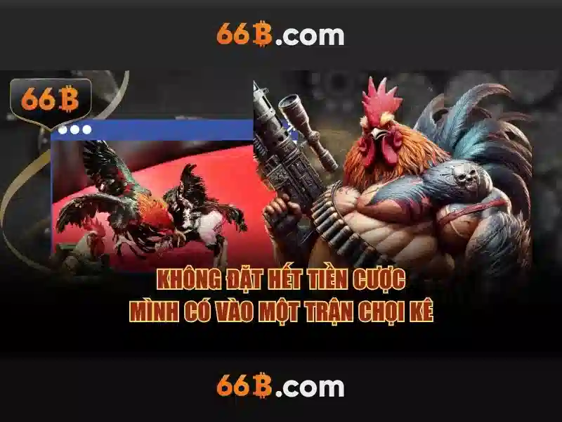 Ưu Điểm Nổi Bật Của 66B