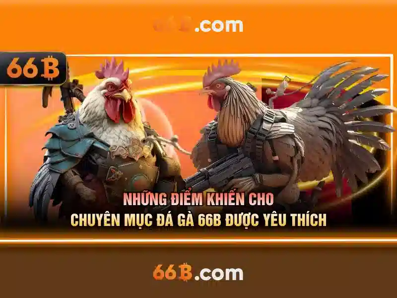 Tại Sao Nên Chọn Cờ Vua 66B
