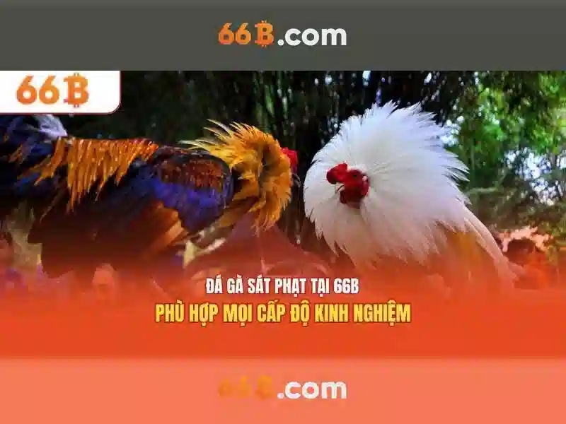Trải Nghiệm Chơi Slot