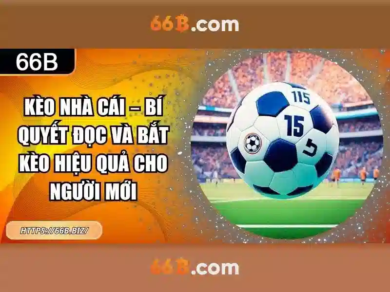 Trang Chủ 66B
