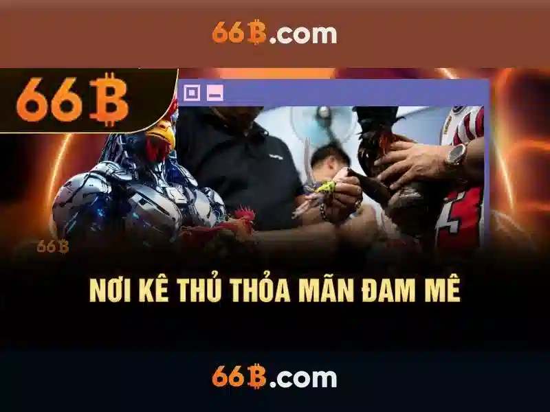 Ứng dụng 66B