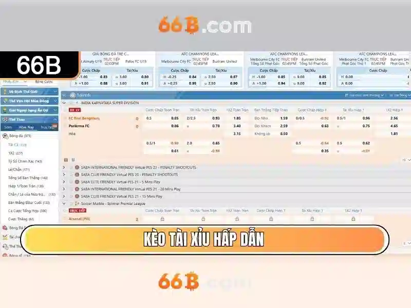 Hướng Dẫn Đăng Ký 66B