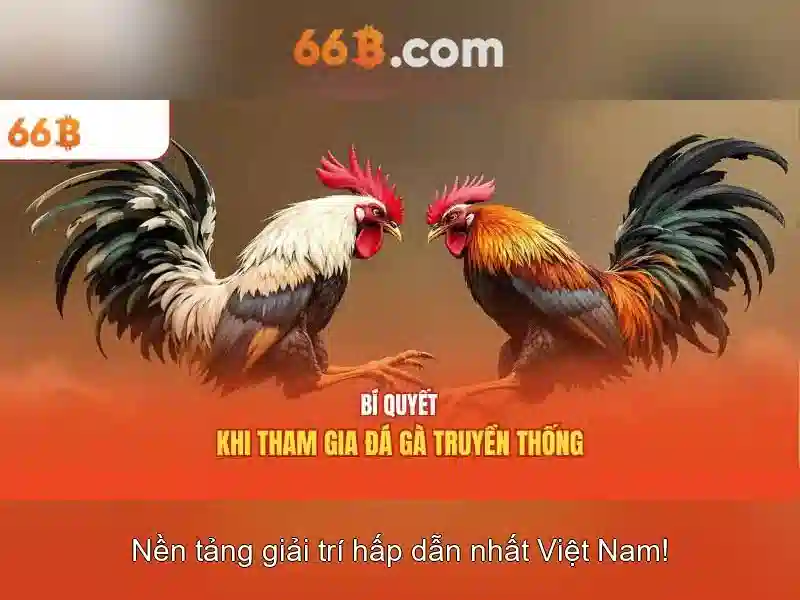 Hướng Dẫn Đăng Ký 66B