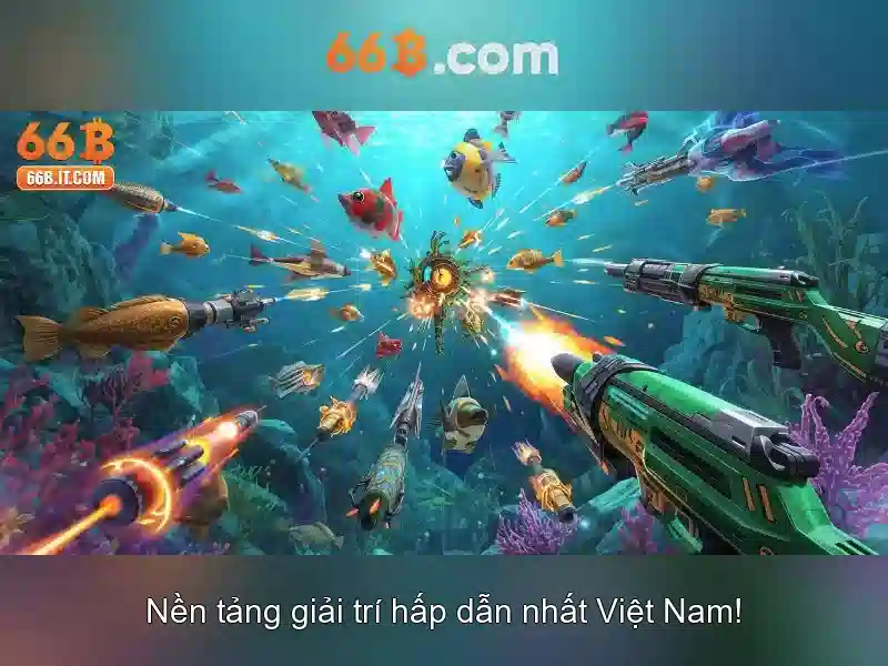 Giới Thiệu Về 66B