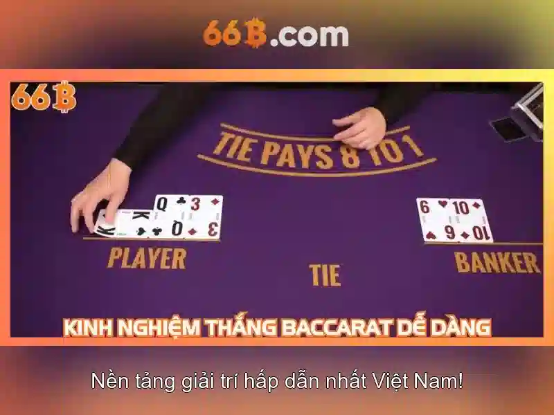 Giới Thiệu Về 66B