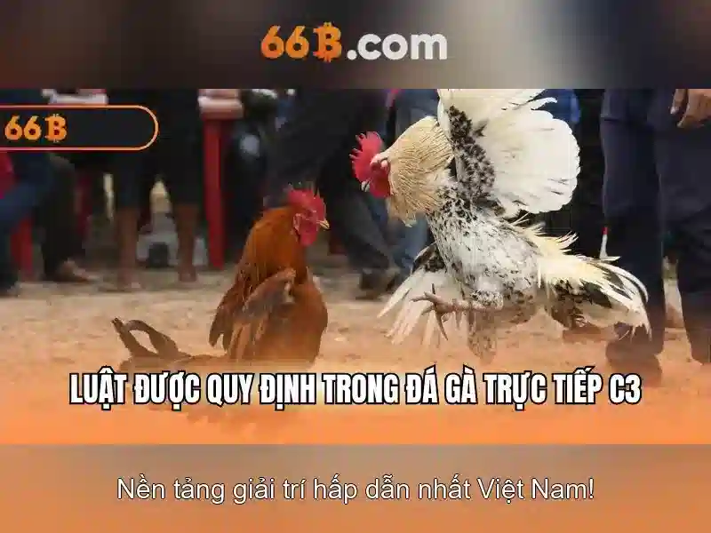 Bảo Mật 66B