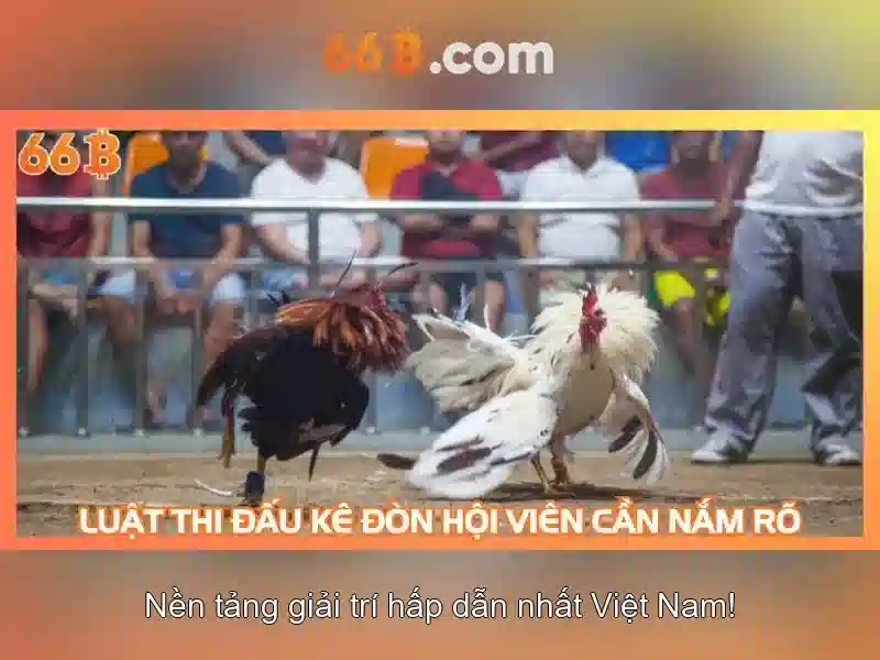Các Loại Trò Chơi Slot Tại 66B Club IMG.TIF --></p><p>66B cung cấp nhiều loại trò chơi slot khác nhau, bao gồm cả các tựa game slot mới nhất năm 2026. Người chơi có thể lựa chọn trò chơi phù hợp với sở thích cá nhân và tận hưởng cảm giác hồi hộp khi chơi.</p><h2><strong>Khuyến Mãi Đặc Biệt Tại 66B Club</strong></h2><p>66B thường xuyên triển khai các chương trình khuyến mãi hấp dẫn cho thành viên. Một số khuyến mãi nổi bật bao gồm:</p><ul><li><strong>Khuyến Mãi Nạp Tiền:</strong> Người chơi sẽ nhận được phần thưởng khi nạp tiền lần đầu hoặc nạp tiền thêm.</li><li><strong>Khuyến Mãi Hoàn Trả:</strong> 66B cung cấp chương trình hoàn trả tiền thua cho người chơi.</li><li><strong>Khuyến Mãi Thử Thách:</strong> Người chơi có thể tham gia các thử thách để nhận phần thưởng hấp dẫn.</li></ul><p>Để tận dụng các khuyến mãi này, người chơi cần đăng ký tài khoản tại <a href='https://intelligentsdesigns.com' title='66B'>66B</a> và thực hiện các yêu cầu của chương trình khuyến mãi.</p><h3>Đội Ngũ Hỗ Trợ Khách Hàng</h3><p>66B có đội ngũ hỗ trợ khách hàng chuyên nghiệp, sẵn sàng hỗ trợ người chơi 24/7. Người chơi có thể liên hệ qua chat trực tuyến hoặc email để được hỗ trợ kịp thời.</p><p class='body_img'></p><p>66B cung cấp nhiều loại trò chơi slot khác nhau, bao gồm cả các tựa game slot mới nhất năm 2026. Người chơi có thể lựa chọn trò chơi phù hợp với sở thích cá nhân và tận hưởng cảm giác hồi hộp khi chơi.</p><h2><strong>Khuyến Mãi Đặc Biệt Tại 66B Club</strong></h2><p>66B thường xuyên triển khai các chương trình khuyến mãi hấp dẫn cho thành viên. Một số khuyến mãi nổi bật bao gồm:</p><ul><li><strong>Khuyến Mãi Nạp Tiền:</strong> Người chơi sẽ nhận được phần thưởng khi nạp tiền lần đầu hoặc nạp tiền thêm.</li><li><strong>Khuyến Mãi Hoàn Trả:</strong> 66B cung cấp chương trình hoàn trả tiền thua cho người chơi.</li><li><strong>Khuyến Mãi Thử Thách:</strong> Người chơi có thể tham gia các thử thách để nhận phần thưởng hấp dẫn.</li></ul><p>Để tận dụng các khuyến mãi này, người chơi cần đăng ký tài khoản tại <a href='https://intelligentsdesigns.com' title='66B'>66B</a> và thực hiện các yêu cầu của chương trình khuyến mãi.</p><h3>Đội Ngũ Hỗ Trợ Khách Hàng</h3><p>66B có đội ngũ hỗ trợ khách hàng chuyên nghiệp, sẵn sàng hỗ trợ người chơi 24/7. Người chơi có thể liên hệ qua chat trực tuyến hoặc email để được hỗ trợ kịp thời.</p><p class='body_img'><div class=