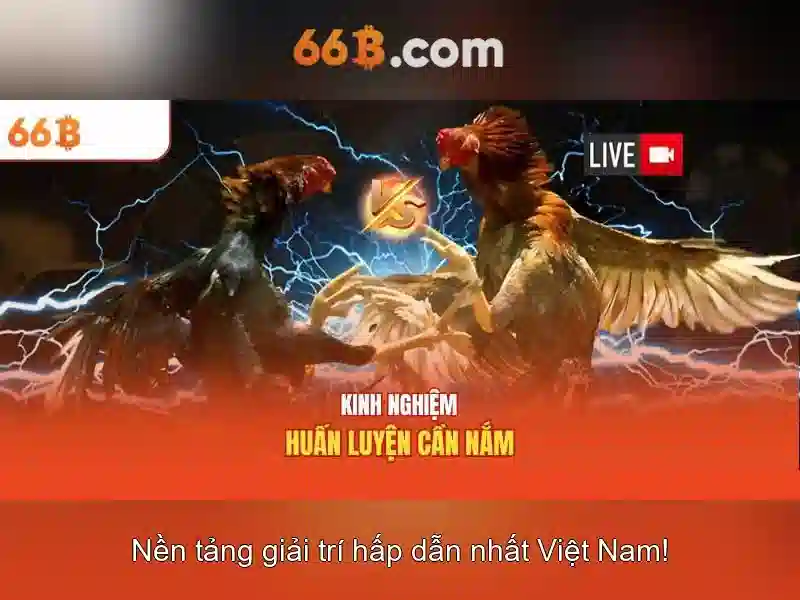 Hướng dẫn đăng ký tài khoản