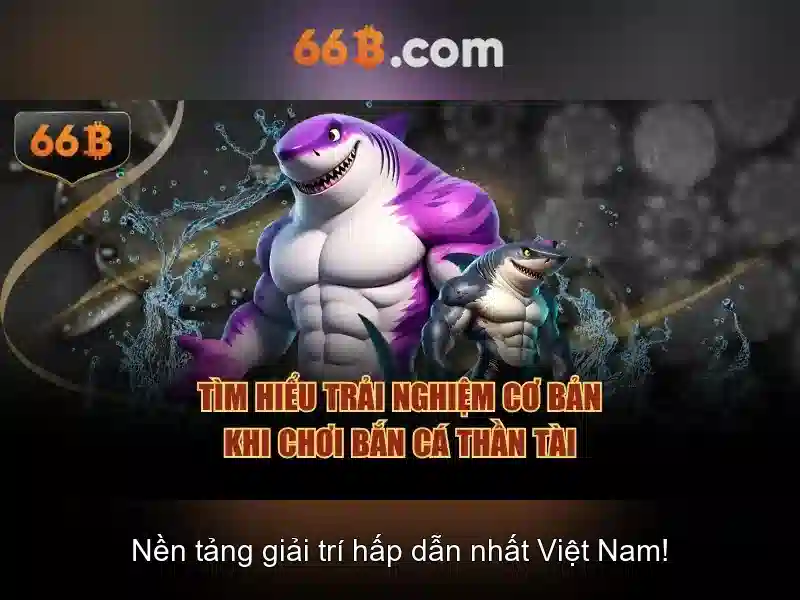 Tiện Ích Slot 66B