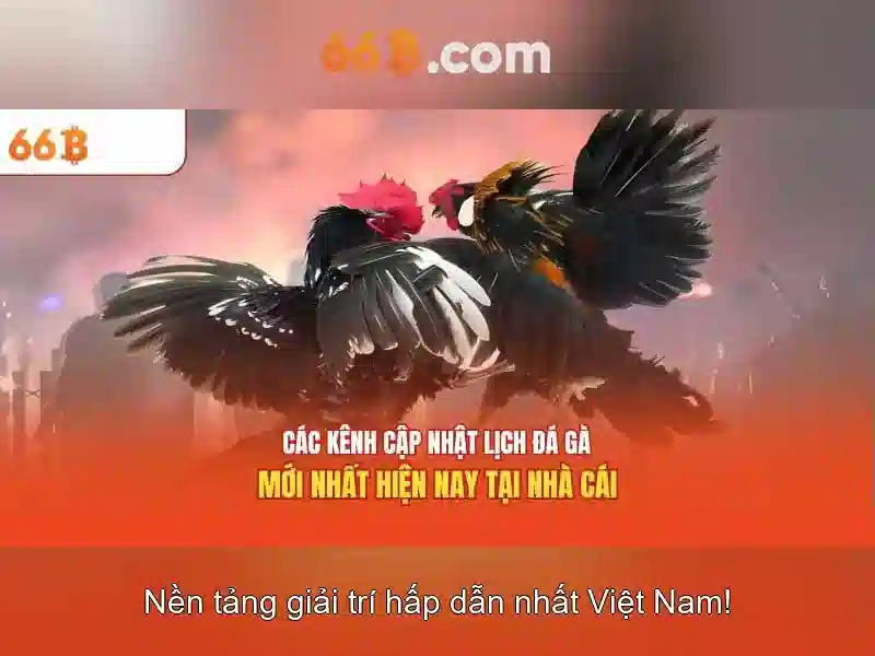 66B Slot – Trải nghiệm cá cược đỉnh cao