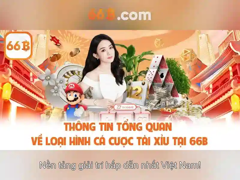 Tại Sao Nên Chọn 66B