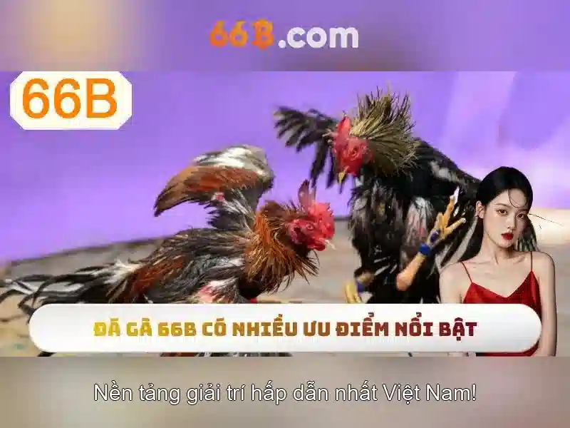 Tài Khoản 66B