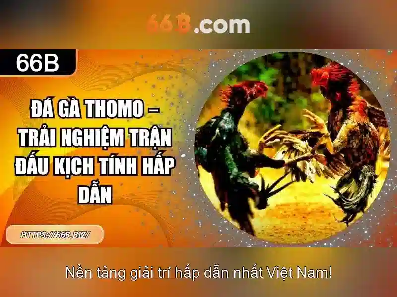 Tại Sao Nên Chọn 66B