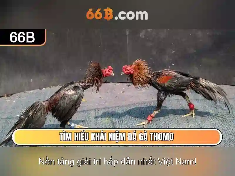 rút tiền 66B