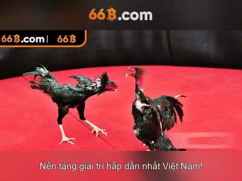 Tiêu Chí Vàng Cho Người Chơi