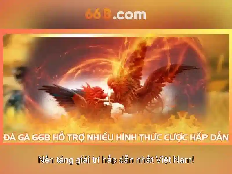 Khám Phá 66B