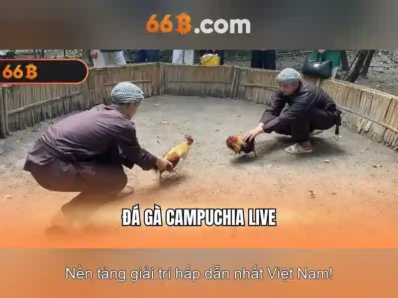 Kinh Nghiệm Chơi Slot