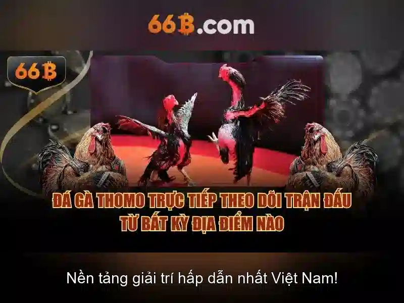 Tải 66B APK – Trải Nghiệm Cá Cược Slot Đỉnh Cao