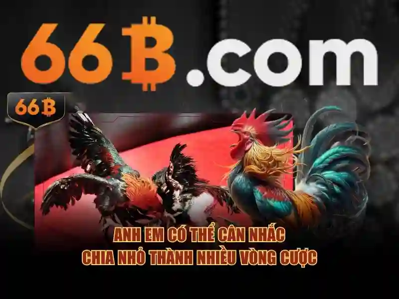 Chương Trình Khuyến Mãi 66B Triều Khúc