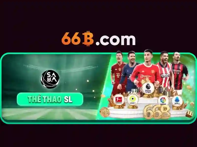 Tài Khoản 66B