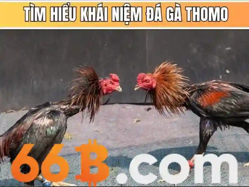 Quy trình nạp tiền 66B đơn giản và nhanh chóng