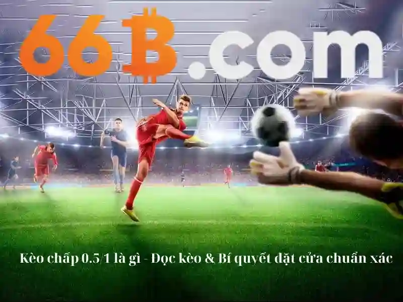 Đăng Ký 66B