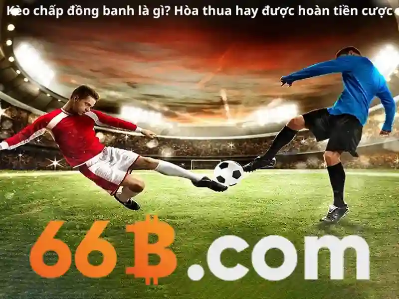 66B Slot – Trải nghiệm cá cược đỉnh cao