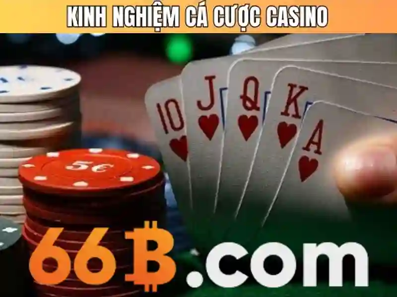 Liên hệ 66B