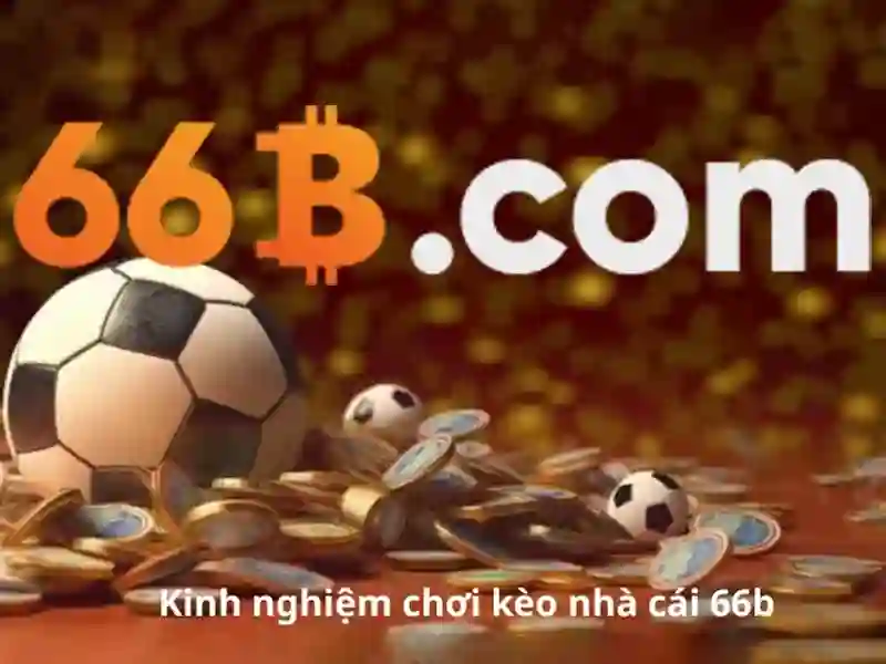 Khuyến Mãi 66B Cho Người Chơi Slot