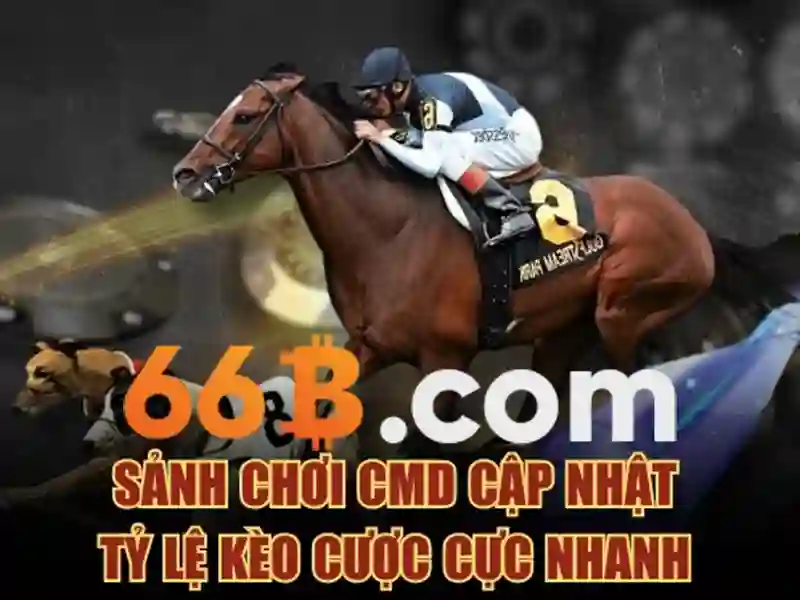 Tiến lên 66b 2026